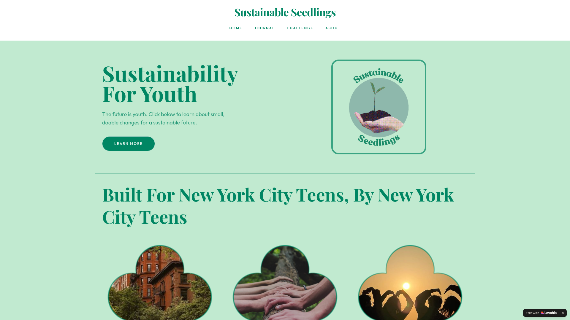 Screenshot of the Sustainable Seedlings blog homepage, a sustainability blog and 30-day challenge for young people.